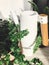 Stylish modern white watering can near green plants in sunny room. Metal funnel with fern and ivy leaves. Gardening concept