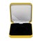 Stylish opened leather golden case with black interior isolated