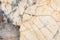 Stylish Patagonia quartzite transparent matt marble stone background. Detail luxury slab photo, matt pattern for perfect