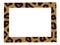 Stylish picture leopard pattern frame isolated