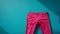 Stylish Pink Pants Hanging On Turquoise Wall - Unique Photo Art