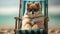 Stylish Pomeranian Dog Lounging in a Beach Chair Wearing Sunglasses