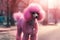 Stylish poodle with pink fur. Generate ai