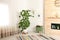 Stylish room interior with large houseplant