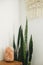 Stylish salt lamp on wooden bedside table on background of snake plant and boho decor in white scandinavian room. Calm and relax