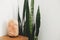 Stylish salt lamp on wooden bedside table on background of snake plant in boho scandinavian room. Calm and relax details in boho