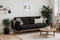 Stylish Scandic living room interior - sofa, armchair, coffee table, plants in pots, lamp, home decorations. Cozy Autumn. Modern c