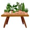 Stylish scandic living room interior - table with succulent potted plants on it. Home lagom decoration. Cozy season. Modern