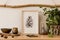Stylish and scandinavian interior of living room with mock up templates, wooden accessories, succulents, forest cones, plants.