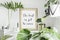 Stylish scandinavian interior with white shelf, golden mock up poster frame, books, hourglass, camera, plants in design pot, leaf.