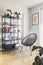 Stylish scandinavian living room with design armchair and bookstand with accessories Bright and sunny room with plants, poster.