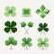 Stylish Shamrock Collection: Minimalistic Compositions On White Background