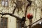 Stylish simple christmas decoration in european city street, vintage bauble on tree branch. Christmas festive street decor  for