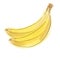 Stylish sketch of a beautiful appetizing healthy fresh fruit banana