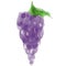 Stylish sketch of a beautiful appetizing healthy fresh fruit grapes
