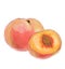 Stylish sketch of a beautiful appetizing healthy fresh fruit Peach