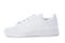 Stylish sneaker isolated on white background. White casual shoe