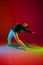 Stylish sportive boy dancing hip-hop in stylish clothes on colorful background at dance hall in neon light. Youth