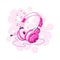 Stylish stereo headphones with a pink floral design. Musical accessories for sports.