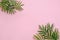 stylish summer flat lay. fresh palm leaves border on pink background with space for text. modern image. top view. summer vacation