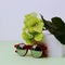 Stylish Sunglasses Steampunk. Summer Fashion Accessories