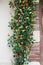 Stylish tangerines tree, modern mandarin fruit decor at storefront or building facade