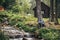 Stylish traveler man sitting near cottage and river in sunny for