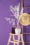 Stylish vases with beautiful branches near purple wall