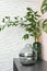 Stylish vases with green branches on table indoors