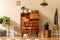 Stylish and vintage interior design of open space with retro furniture, plants and decoration.