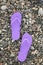Stylish violet flip flops on pebble seashore, top view