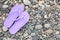 Stylish violet flip flops on pebble seashore, top view. Space for text