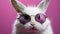 Stylish white bunny in sunglasses on bright solid background, perfect for personalized text.