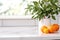 Stylish white quartz countertop with potted plant and oranges. Modern minimalistic kitchen interior details.