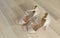 Stylish white women`s wedding shoes bridal pink shoes. couples beautiful