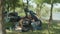 Stylish woman biker repairing motorcycle in park