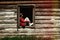 stylish woman hipster traveler sitting and relaxing on old window in wooden cabin in sunny mountains, space for text