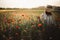 Stylish woman in rustic  dress and hat walking in summer meadow among poppy and wildflowers in sunset light. Atmospheric authentic