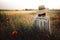 Stylish woman in rustic  dress and hat walking in summer meadow among poppy and wildflowers in sunset light. Atmospheric authentic