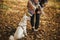 Stylish woman training cute dog with treats in sunny autumn woods. Young female traveler hiking with swiss shepherd white dog in