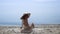 Stylish woman turning back sitting sunny seashore. Curly girl sunbathing beach