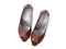 Stylish women`s shoes brown.clipping path