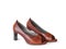 Stylish women`s shoes brown.clipping path