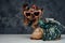 Stylish yorkshire terrier doggy in dress with sunglasses