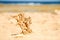 Stylishly beautiful seashell coral on sand background on sea