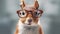 Stylishly Spectacled: A Squirrel's Eye for Fashion
