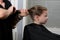 Stylist. collects, tight tail hair. girls to create a new image of hair.