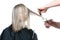 Stylist cutting hair of young blonde woman.