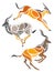 Stylized Antelope  - vector illustration