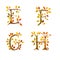 Stylized autumn leaf tree alphabet - letters E-H